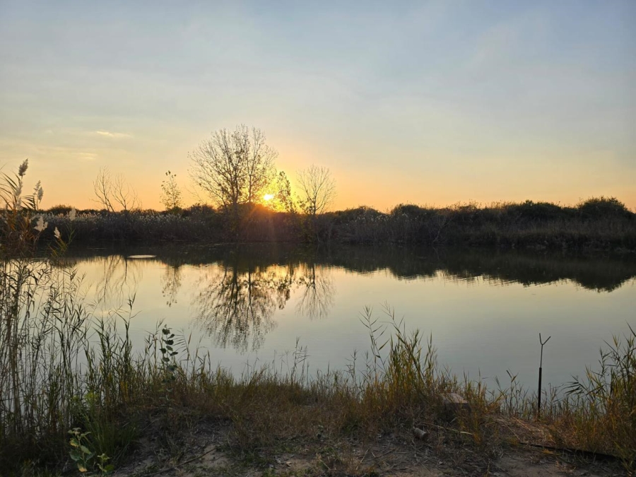 5 Bedroom Property for Sale in Edenburg Rural Free State